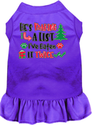 Christmas Pet, Dog and Cat Dress Screen Printed, "He's Making A List, I've Eaten It Twice"
