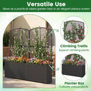 58 Inch Raised Garden Bed with Trellis and Wicker Planter Box
