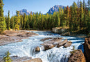 1500 Piece Jigsaw Puzzle, Athabasca River, Jasper National Park, Canada, Mountains and River, Adult Puzzles, Castorland C-150762-2