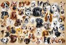 1500 Piece Jigsaw Puzzle, Collage with Dogs, Challenging Multi-Pet Portrait Gallery, puppy collage jigsaw, Adult Puzzle, Castorland C-151943-2