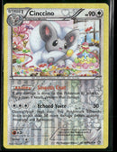 Legendary Treasures: Radiant Collection Cinccino #RC19/RC25