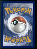 SV: Scarlet & Violet Promo Cards Team Rocket's Wobbuffet #203