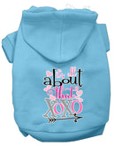 Pet, Dog & Cat Hoodie Screen Printed, "All About That XOXO"