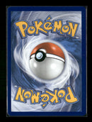ME: Mega Evolution Promo Tepig #050