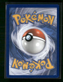 SWSH: Sword & Shield Promo Cards Squirtle #SWSH233