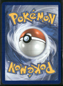 SV10: Destined Rivals Team Rocket's Raticate #202/182