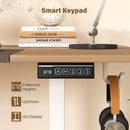Electric Standing Desk 63x24 Inch with Memory Presets