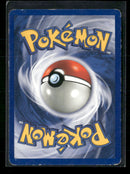 Gym Challenge Misty's Wish #108/132