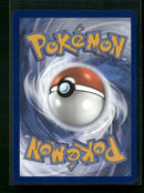 SV: Scarlet & Violet Promo Cards Greninja ex #132