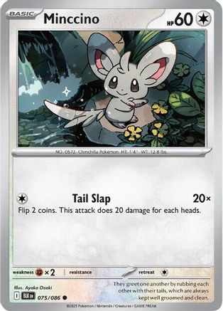 Minccino 075/086 - SV Black Bolt
