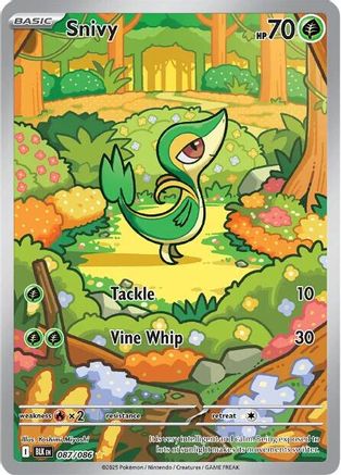 Snivy 087/086 - SV Black Bolt Holofoil