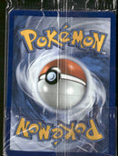 ME: Mega Evolution Promo Mega Charizard X ex #023