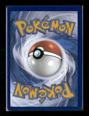 SWSH: Sword & Shield Promo Cards Lucario VSTAR #SWSH291
