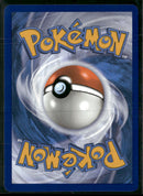 SWSH: Sword & Shield Promo Cards Lucario VSTAR #SWSH291