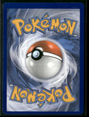 SWSH: Sword & Shield Promo Cards Charizard V #SWSH260