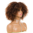 Afro Kinky Curly Wig Natural Look