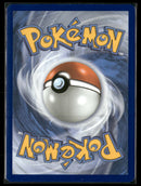 SV10: Destined Rivals Rapidash #189/182