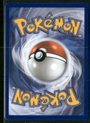 ME05: Pitch Black Gladion's Final Battle #118/084