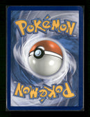 SWSH: Sword & Shield Promo Cards Special Delivery Pikachu #SWSH074