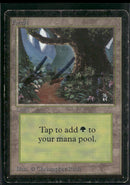 Beta Edition Forest (B) *Damaged*