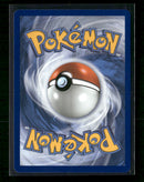 ME: Mega Evolution Promo Tepig #050