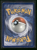 Alternate Art Promos M Sharpedo EX #XY200a *Damaged*