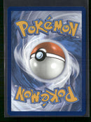 ME: Mega Evolution Promo Riolu #010