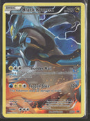 XY Promos Black Kyurem #XY80