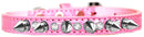 Dog, Puppy and Pet Designer Croc Collar, "Silver Spike & Clear Jewel"
