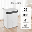 74 Pints Dehumidifier for Home 4500 Sq.Ft Dehumidifier-White