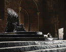 Game of Thrones: House Lannister Hardcover Ruled Journal (Large)