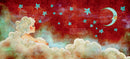 The Cloud Princess