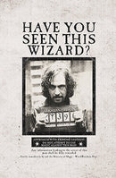 Harry Potter: Wanted Posters Pocket Notebook Collection (Set of 3)