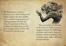 Supernatural: Mini Guide To Saving People and Hunting Things