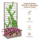 Raised Garden Bed with Trellis for Climbing Plants