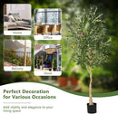 6 Feet Artificial Olive Tree in Cement Pot