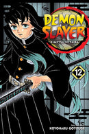 Demon Slayer Kimetsu No Yaiba Gn Vol. 12