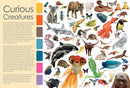 Curious Creatures