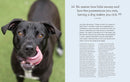 The Total Dog Manual