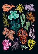 Art of Nature: Under the Sea Sewn Notebook Collection (Set of 3)