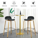 Set of 2 Modern Barstools Pub Chairs with Low Back and Metal Legs