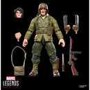 Marvel Legends Executioner Series 6-Inch Action Figures - Select Figure(s)