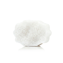 Fleur de Narcisse Pedi Buffer | Florica