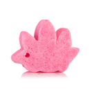Stegosaurus Dinosaur Buffer