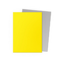 Dragon Shield: Yellow & Silver - Matte Dual Sleeves