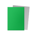 Dragon Shield: Apple Green & Silver - Matte Dual Sleeves