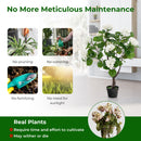 Artificial Hydrangea Tree Fake Floral Plant with 11 White Flowers-White