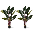 Artificial Rainbow Taro Tree 63" Tall with 11 Faux Leaves