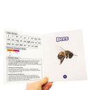 Science Decodables Phase 3 Non-Fiction