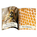 Science Decodables Phase 3 Non-Fiction